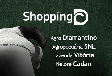 SHOPPING D - DIAMANTINO VITÓRIA (25 DE ABRIL A 02 DE MAIO)